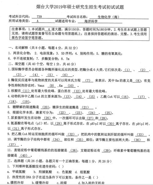 考研真題：2019年煙臺大學外國語學院碩士研究生招生考試初試自命題